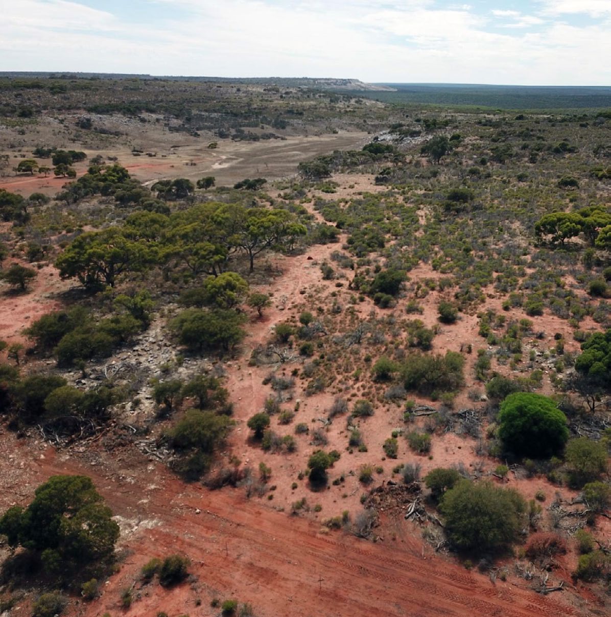 How a remote WA station is managing goats to heal the land